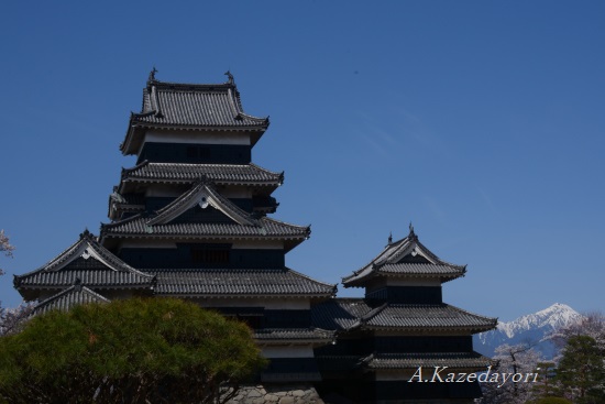 庭園から天守閣と北アルプス