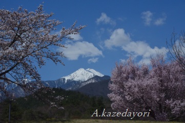 木間の常念岳