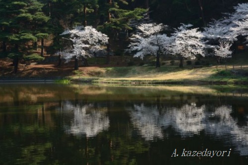 撮影地　松本市　千鹿頭池