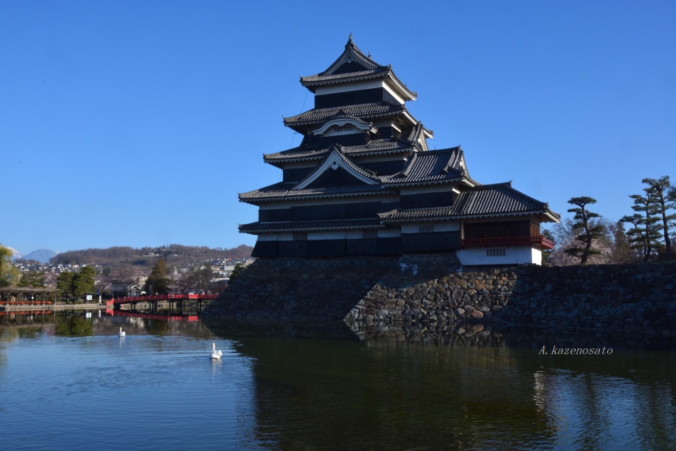 碧空を背にそびえる天守