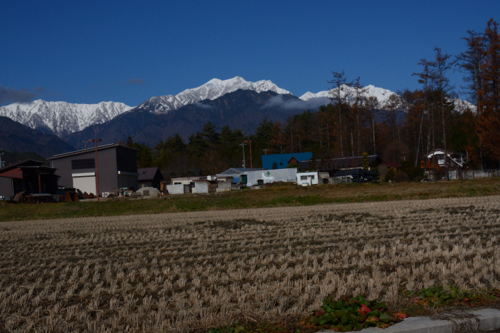 新雪に輝く後立山の山並み